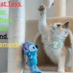 best interactive cat toy