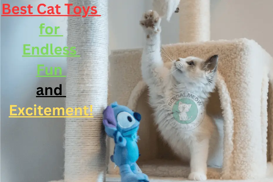 Best Interactive Cat Toys for Hours of Playful Fun