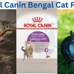 Royal Canin Bengal Cat Food