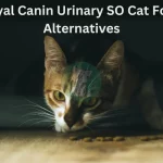 Royal Canin Urinary SO Cat Food Alternative