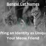 Bengal Cat Names