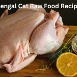 Bengal Cat Raw Food Recipe