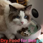 Best Dry Food for Bengal Cats