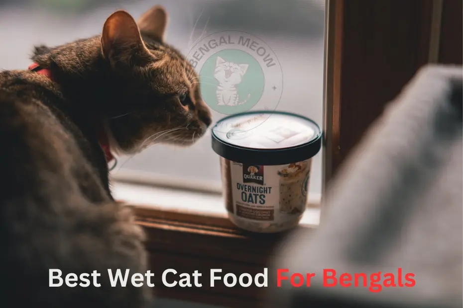 The 5 Ultimate Picks: Unveiling the Best Wet Cat Food for Bengals