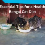 Essential Tips for a Healthy Bengal Cat Diet