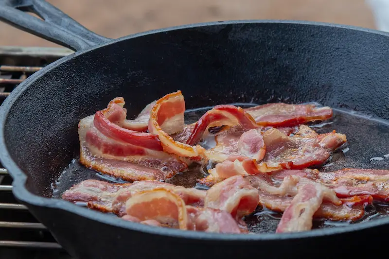 Bengal Cats Eat Bacon