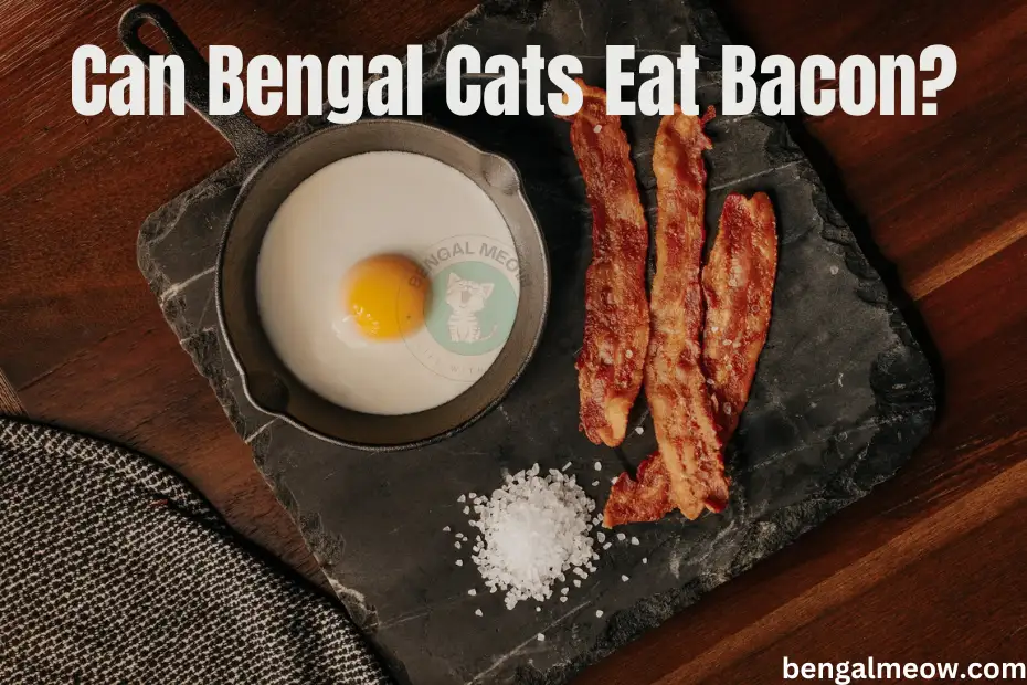 Can Bengal Cats Eat Bacon?