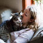 Are Maine Coon Cats Friendly