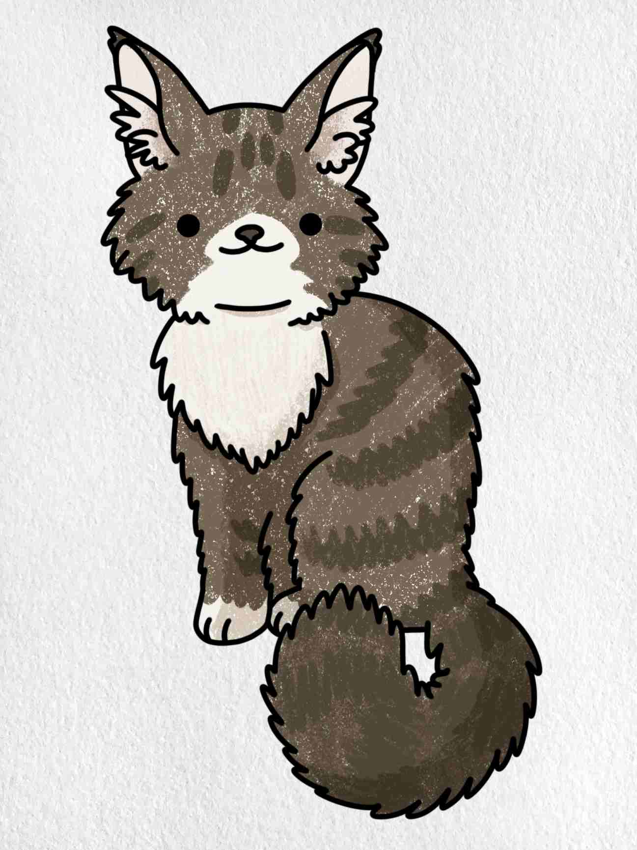 Maine Coon Cat Drawing
