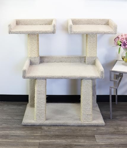 10 Best Cat Trees for Maine Coon Cats