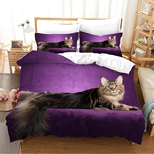 Best Bed for Maine Coon