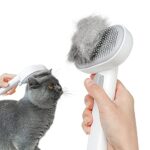 Best Brush for Bengal Cat