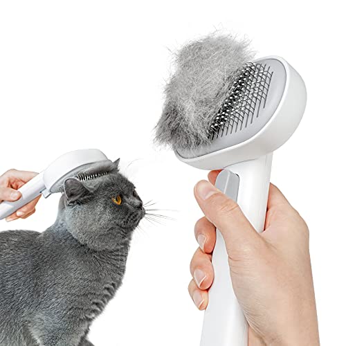 Best Brush for Bengal Cat