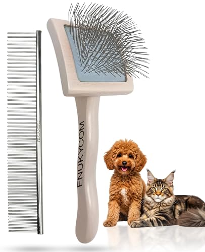 Best Brush for Maine Coon Cats: Top Picks for Grooming Success