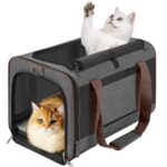 Best Carrier for Maine Coon