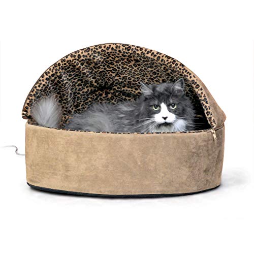 Best Cat Beds for Bengal