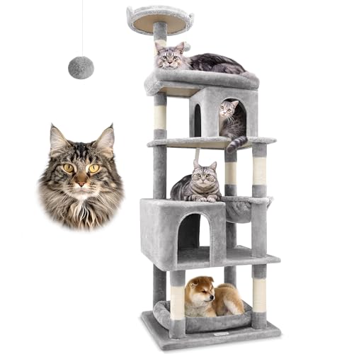 Best Cat Condos for Large Maine Coons: Top Picks for Sturdy Comfort