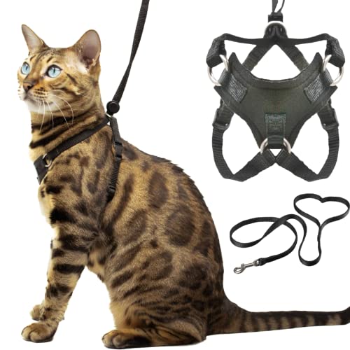 Best Cat Harness for Bengal Cats