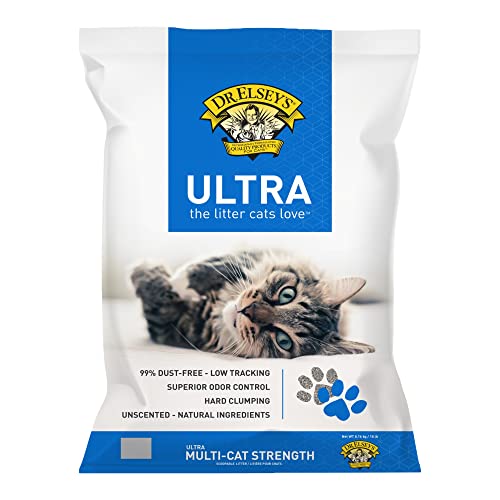 Best Cat Litter for Bengal Cats