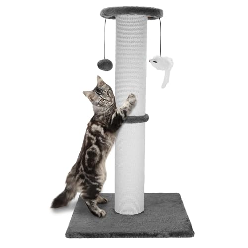 Best Cat Scratching Post for Maine Coon: Top Picks for Large Cats