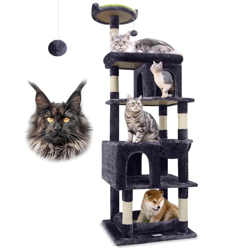 Best Cat Tree for Maine Coon