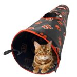 Best Companion for Bengal Cat