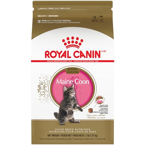 Best Dry Food for Maine Coon Kitten: Top Choices for Healthy Growth