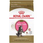 Best Kitten Food for Maine Coon