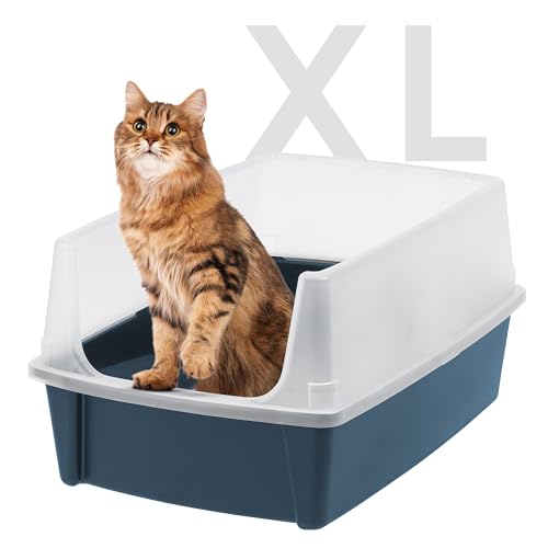 Best Litter Box for Maine Coon Cat