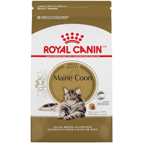 Best Meat for Maine Coon Cat: Top Food Choices for Optimal Health