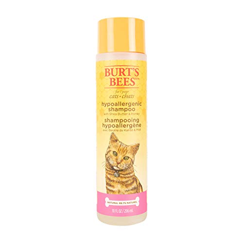 Best Shampoo for Maine Coon Cats