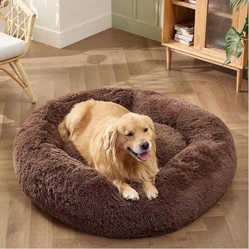 Best Orthopedic Dog Bed for Medium Dogs: Top Comfort Picks