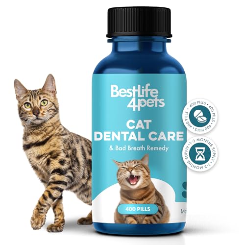 Best Pet Dental Care Solution for Bengal Meow: Eliminate Bad Breath Naturally