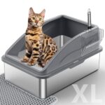 Best Cat Litter Box for Odor Control