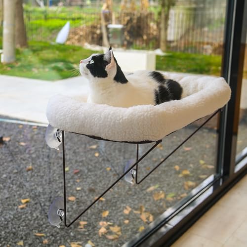 Best Cat Tree for Small Apartments